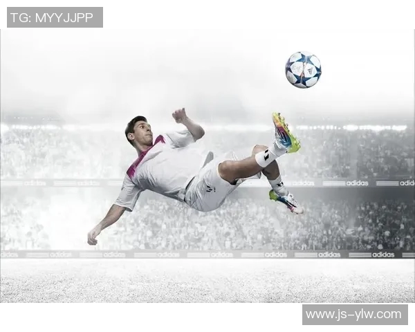 足球明星全景图鉴从球场传奇到生活风采的精彩呈现